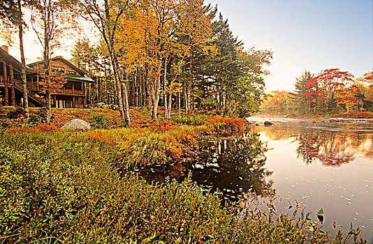 秋色,反射,河,新斯科舍省,加拿大