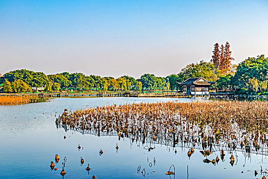 杭州西湖秋景