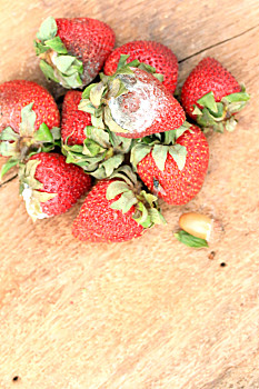 坏草莓照片图片