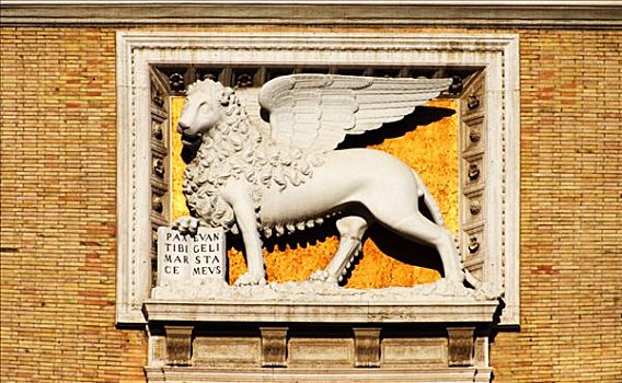 狮子,装饰,墙壁,广场,罗马,意大利,欧洲
