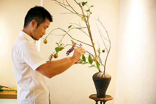 日本人,站立,男人,花,画廊,工作,插花,安放