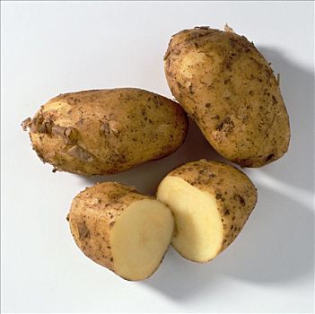 土豆,品种,平分