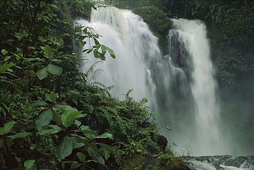 瀑布,高地,热带雨林,哥斯达黎加