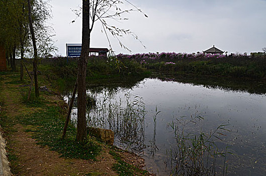 贵州草海风光,威宁,草海,木船,栖息地,海,淡水湖,渔船,湖水,湖泊,湿地,湿地高原,秋色,船只,草,贵州风光,风光,高原湖泊,黑颈鹤,国家一级保护鸟类,鸟类,海鸟,花海