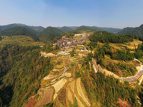 磁力泵