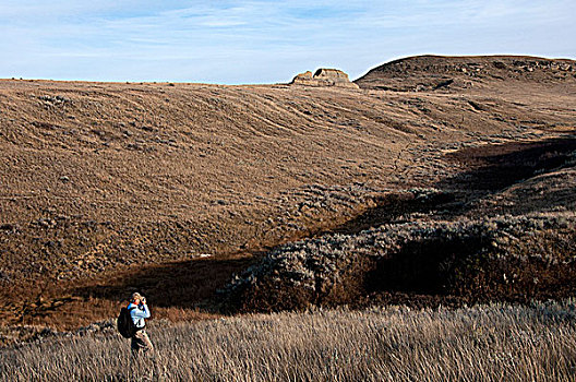 男人,远足,荒芜,草原国家公园,萨斯喀彻温,加拿大