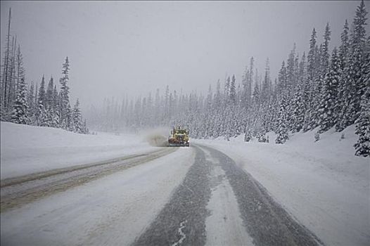 93号公路,雪中,风暴,国家公园,不列颠哥伦比亚省,加拿大