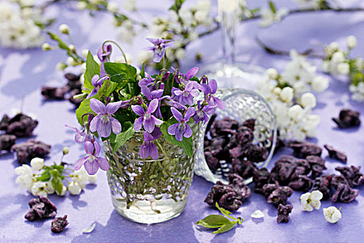 紫罗兰,玻璃,糖渍,嫩枝,花