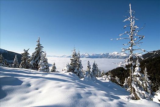 冬季风景,冬景,旅店,山谷,提洛尔,奥地利,欧洲