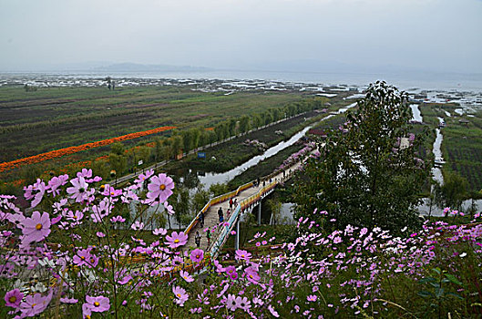 贵州草海风光,威宁,草海,木船,栖息地,海,淡水湖,渔船,湖水,湖泊,湿地,湿地高原,秋色,船只,草,贵州风光,风光,高原湖泊,黑颈鹤,国家一级保护鸟类,鸟类,海鸟,花海