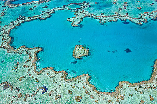 航拍,心形,礁石,局部,大堡礁,昆士兰,澳大利亚