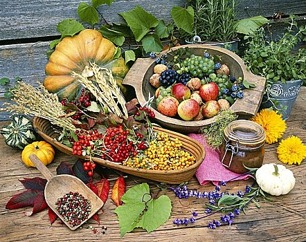 秋天,静物,药草,调味品,水果,南瓜