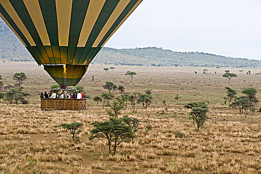 热气球,乘,上方,塞伦盖蒂国家公园,世界遗产,坦桑尼亚,非洲