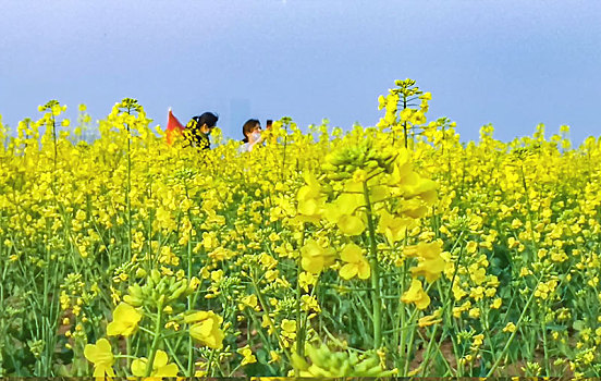 花开时节