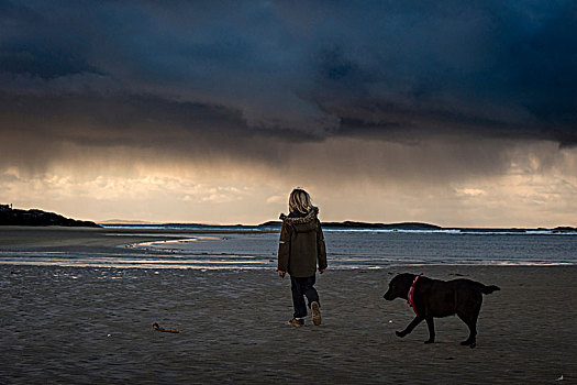 男孩,走,海滩,宠物,狗,看,生动,雷雨天气,后视图,爱尔兰
