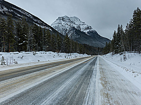 风景,道路,山,碧玉国家公园,艾伯塔省,加拿大