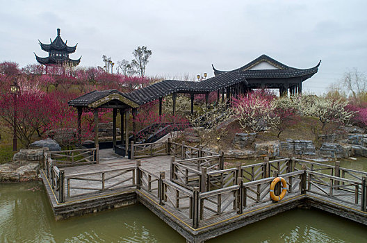 江苏省盐城市大丰区梅花湾景区