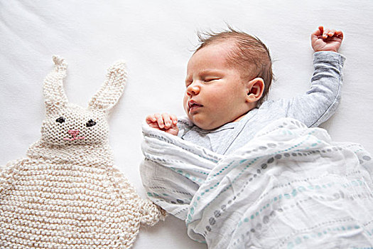 女婴,睡觉,靠近,编织,兔子