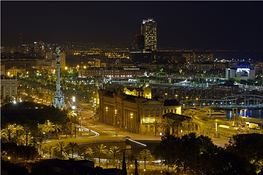 夜晚,全景,城市,巴塞罗那,西班牙