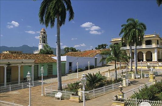 古巴,特立尼达,马约尔广场,大门,棕榈树