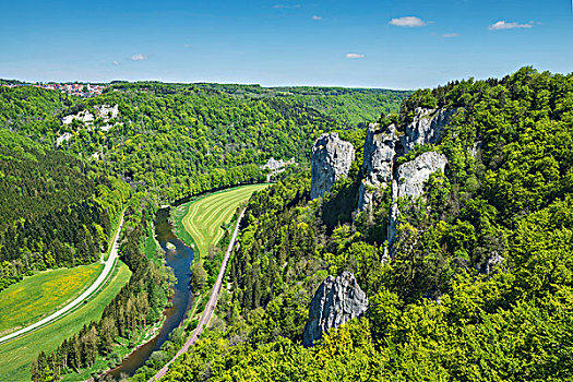 多瑙河,山谷,风景,石头,巴登符腾堡,德国,欧洲