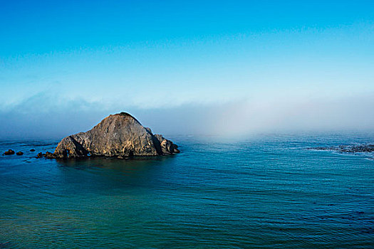 岛屿,晨雾,麋鹿,加利福尼亚,美国