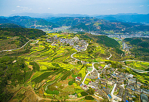 航拍,油菜花,线条,山村,田野