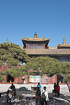 雍和宫,庙宇,北京,中国