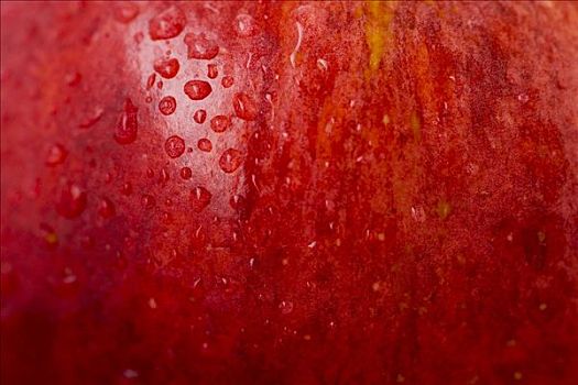 红苹果,水滴,特写