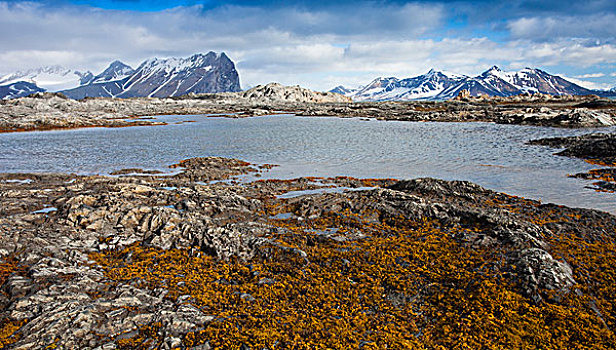 北极,斯瓦尔巴特群岛,沿岸,风景
