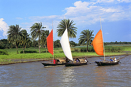 捕鱼,帆船,河,季风,季节,鱼,孟加拉,2006年