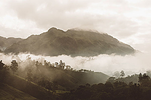 晨雾,山谷,阿尔泰,危地马拉,中美洲
