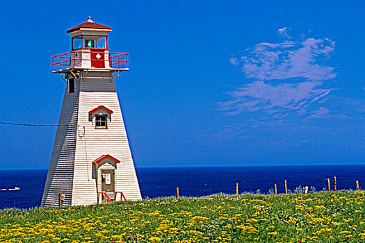 灯塔,大西洋海岸,特莱恩海角,爱德华王子岛,加拿大