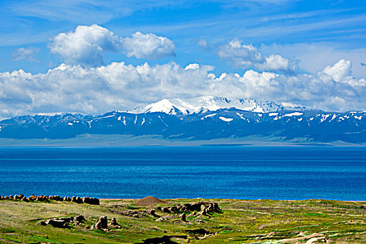 新疆,雪山,湖泊,草地