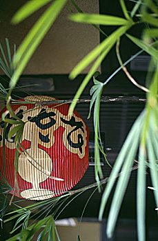 日式灯笼,叶子,特写