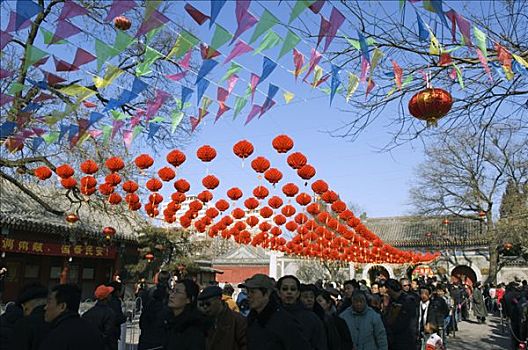 中国,北京,春节,红灯笼,装饰,地坛,公园,庙宇