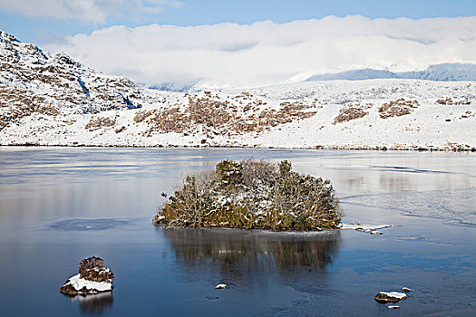 雪,岸边,湖,基拉尼国家公园,凯瑞郡,爱尔兰