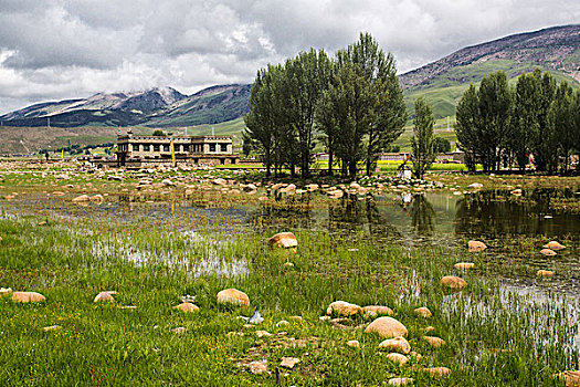桑堆藏寨