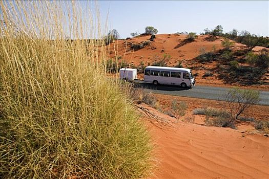 澳大利亚,北领地州,公路,巴士,干燥,荒芜,景色,中心