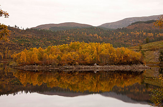 秋天,彩色,叶子,湖,高地,苏格兰,英国,欧洲