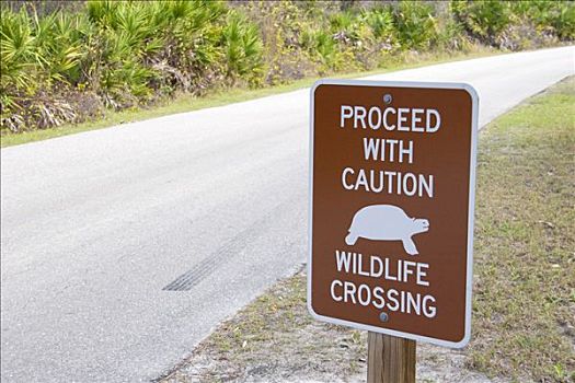 警告标识,道路,州立公园,佛罗里达,美国