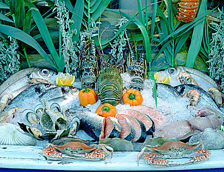鱼肉,餐馆,展示,克里特岛,希腊