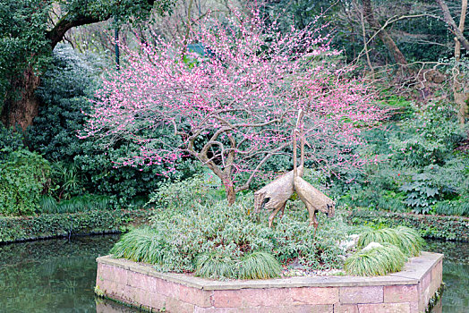 杭州西湖孤山园林景观梅花仙鹤雕塑