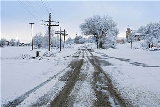 道路,通过,积雪,风景
