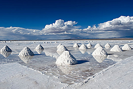 盐,盐湖,乌尤尼,波托西地区,玻利维亚,南美
