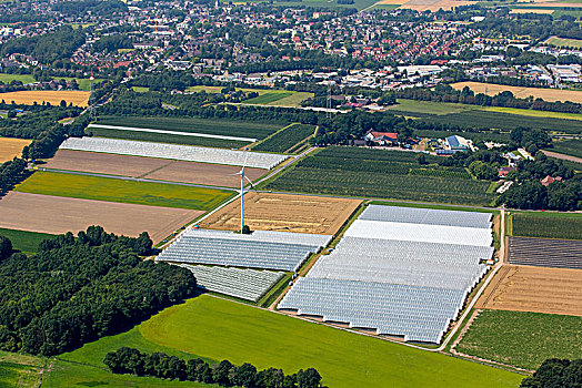 温室,农业,博特罗普,鲁尔区,北莱茵威斯特伐利亚,德国