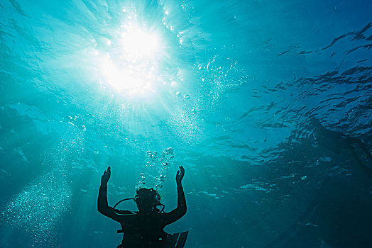 女人,深潜,水下,汤加,太平洋