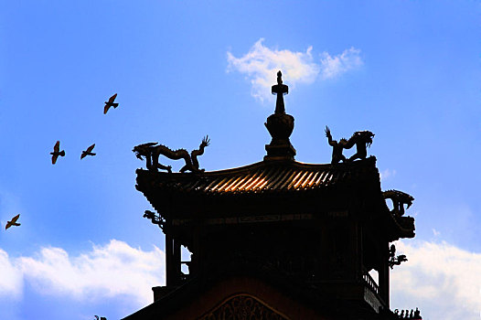 北京故宫雨花阁铜龙