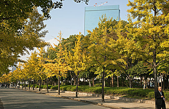 道路,大阪,日本