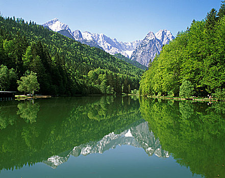 湖,正面,山,阿尔卑斯峰,上巴伐利亚,德国,欧洲